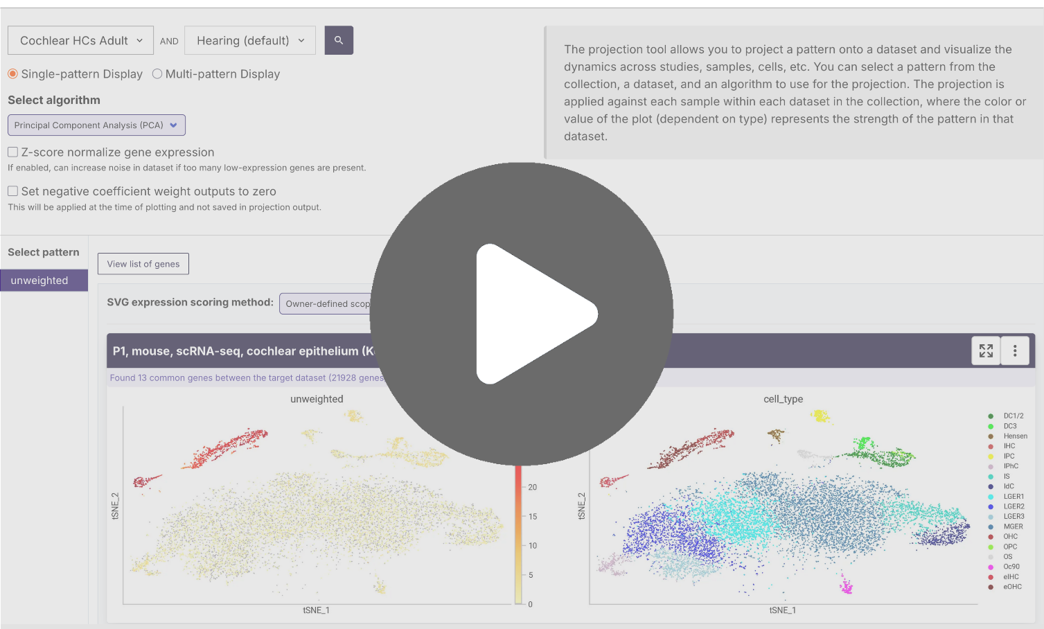 Preview of the projection tool