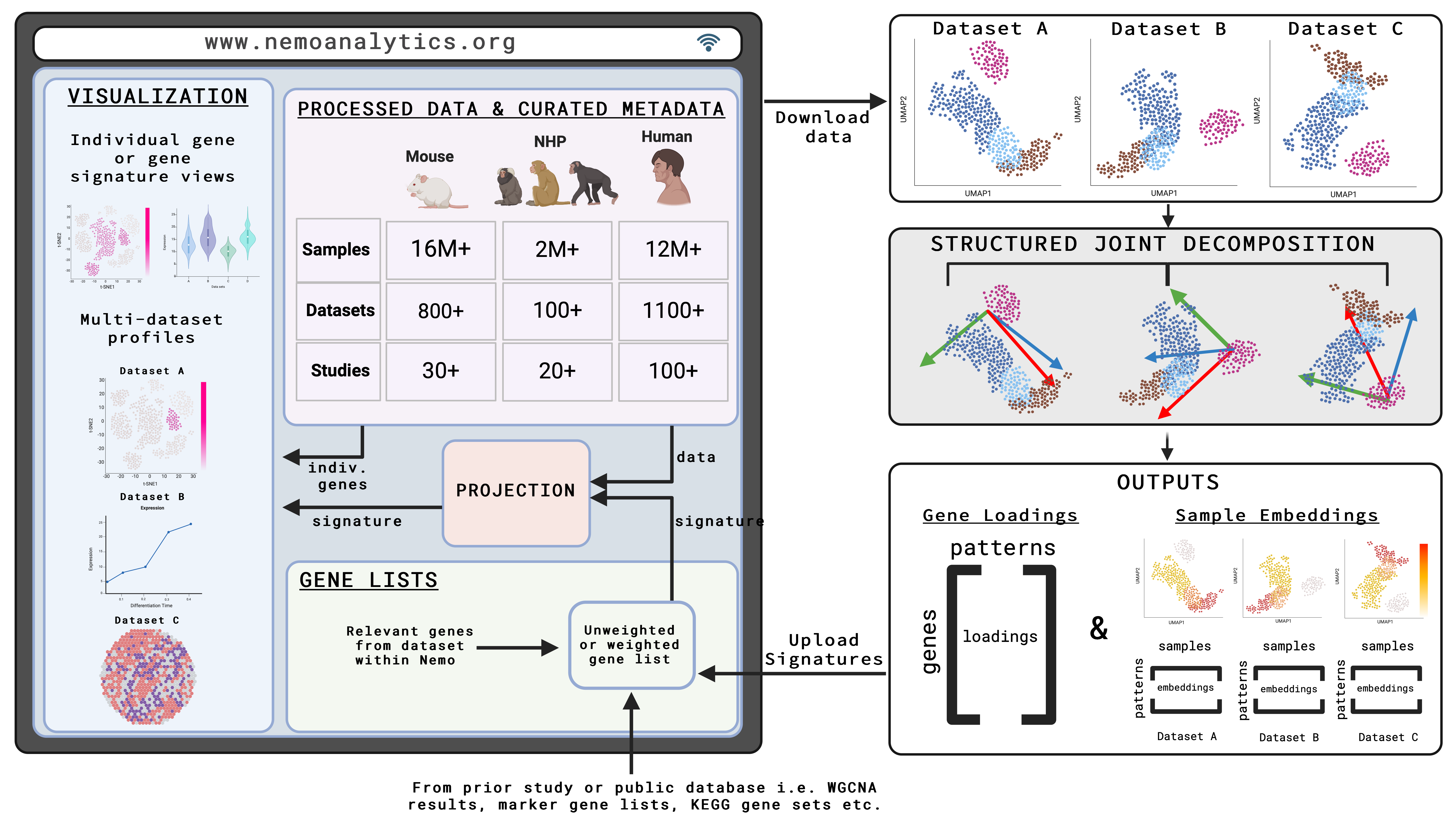 Joint decomposition of scRNA-seq data in the NeMO Analytics neocortical development data collection